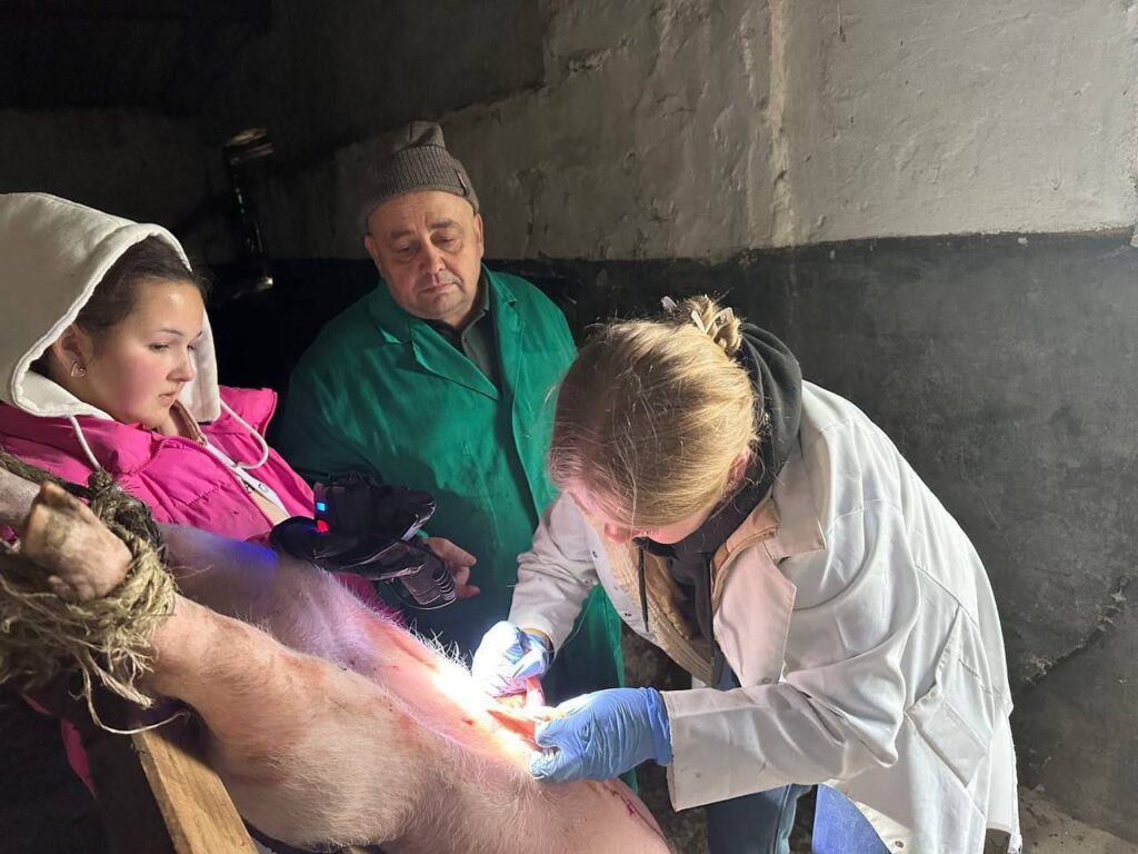 photo_2025-11-06_11-00-06