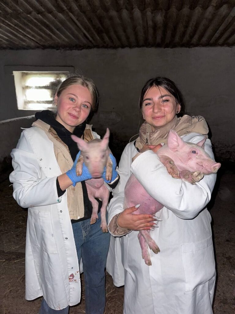 photo_2025-11-06_11-00-07 (2)