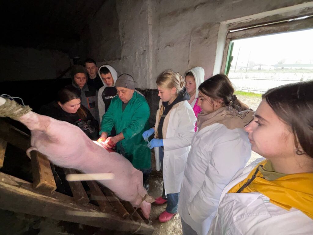 photo_2025-11-06_11-01-13 (3)