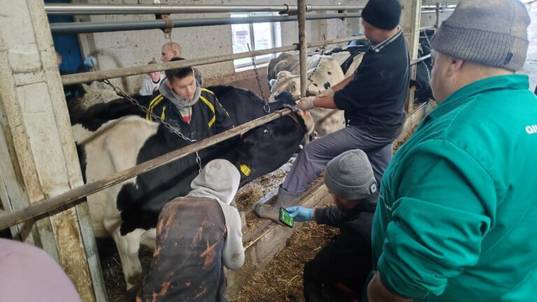 photo_2025-11-12_13-10-14