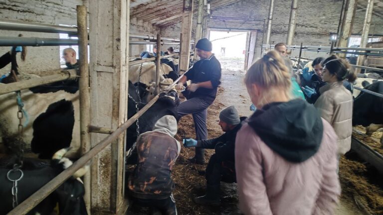 photo_2025-11-12_13-10-16 (2)