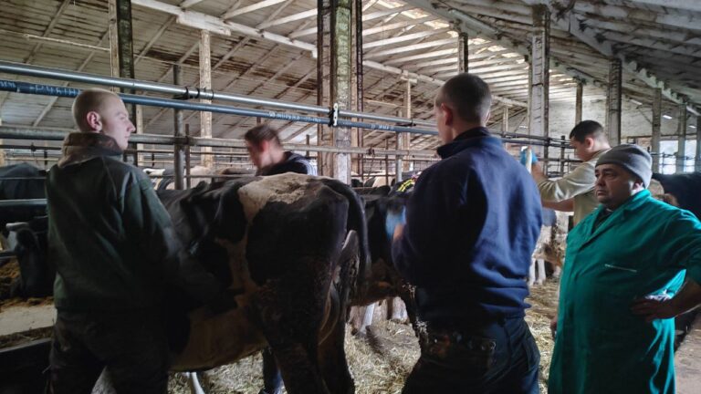 photo_2025-11-12_13-10-18