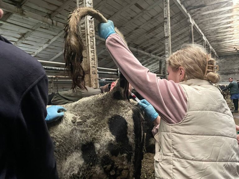 photo_2025-11-12_22-37-41