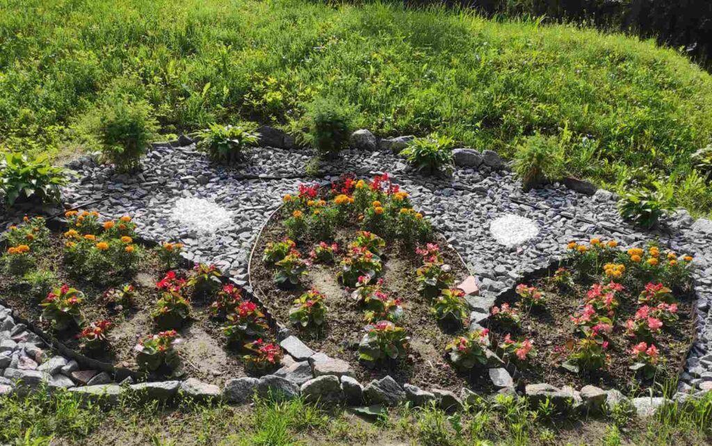 зображення_viber_2025-11-07_19-38-10-868