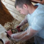 зображення_viber_2026-01-26_17-41-53-274