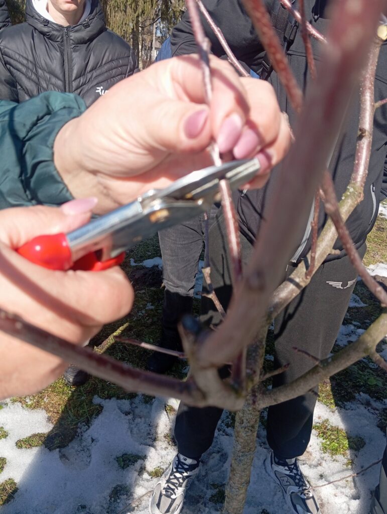 645502628_1965695397349500_7077635101187054835_n